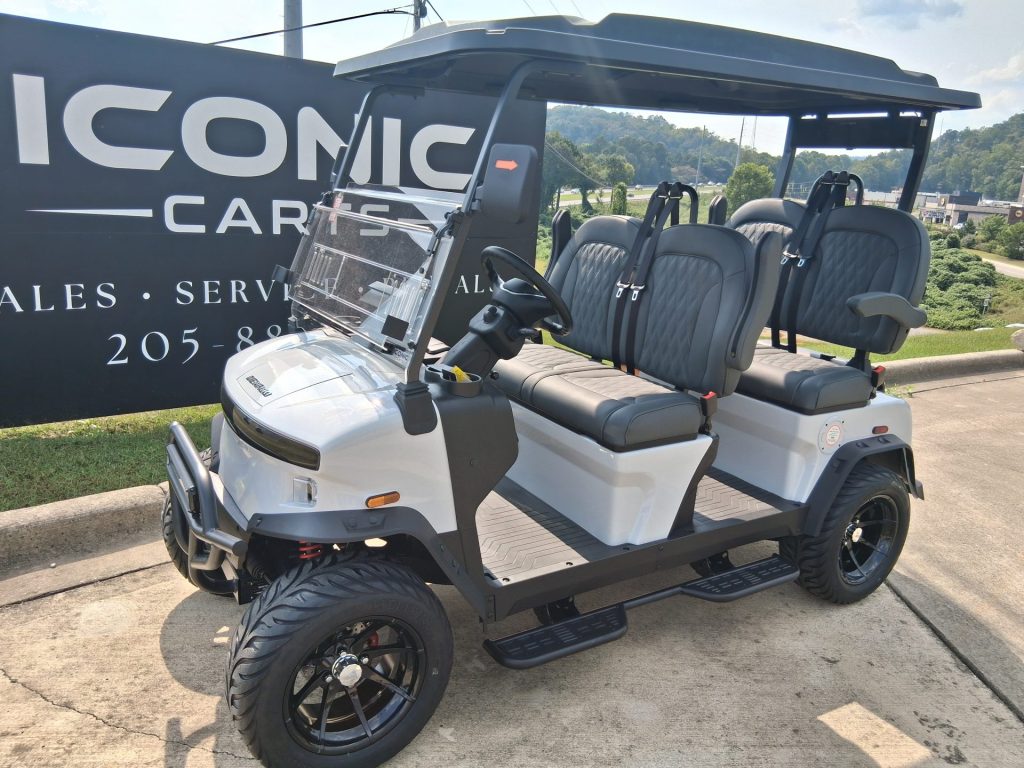2025 Denago EV Rover XL 4