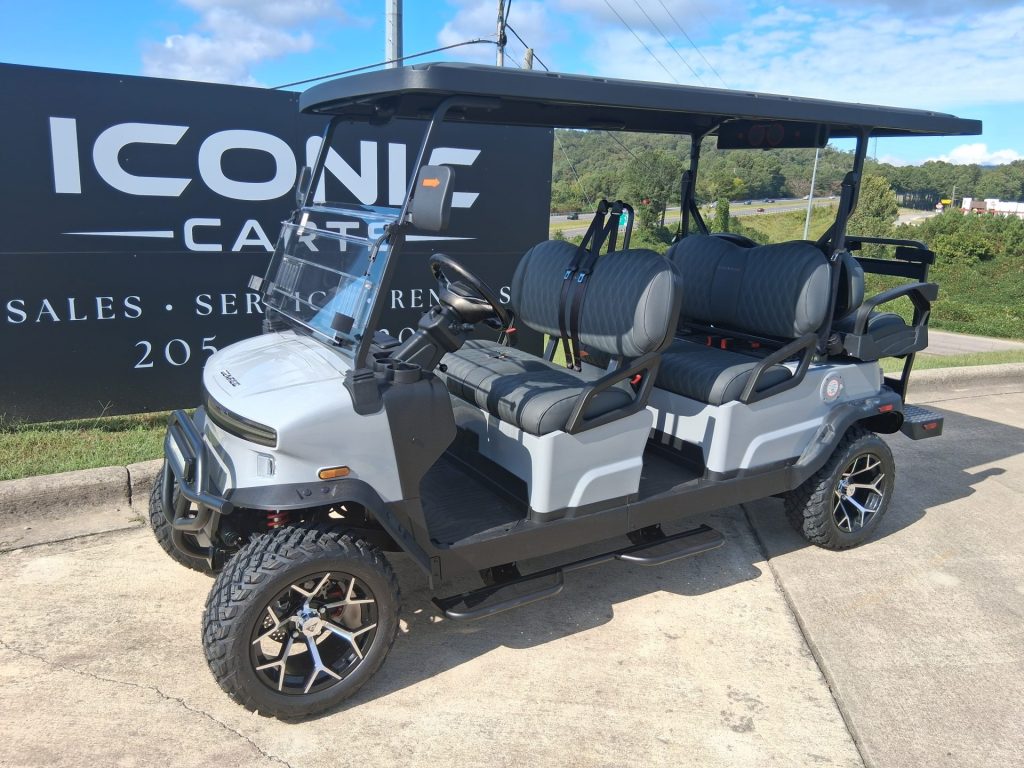 2025 Denago EV Rover XL6